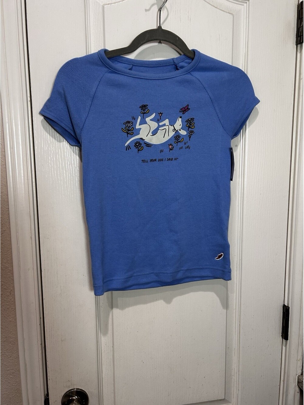 League WeRateDogs Blue Ribbed Babydoll Graphic T-Shirt Tell Your Dog I Said Hi